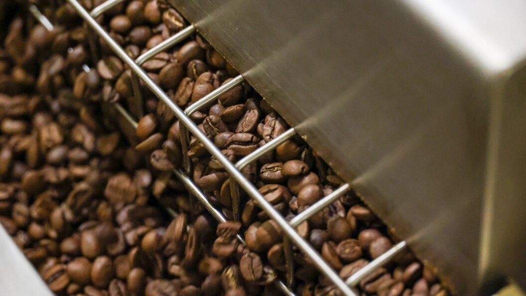    © Petrov Sergey/Globallookpress