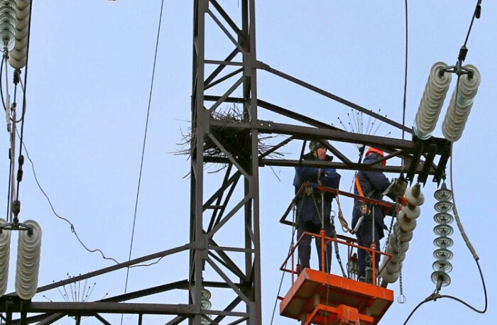 Мало изготовить защитное устройство: нужно ещё приехать, забраться на высоту и закрепить его на опоре ЛЭП / Фото: АО «ДРСК»