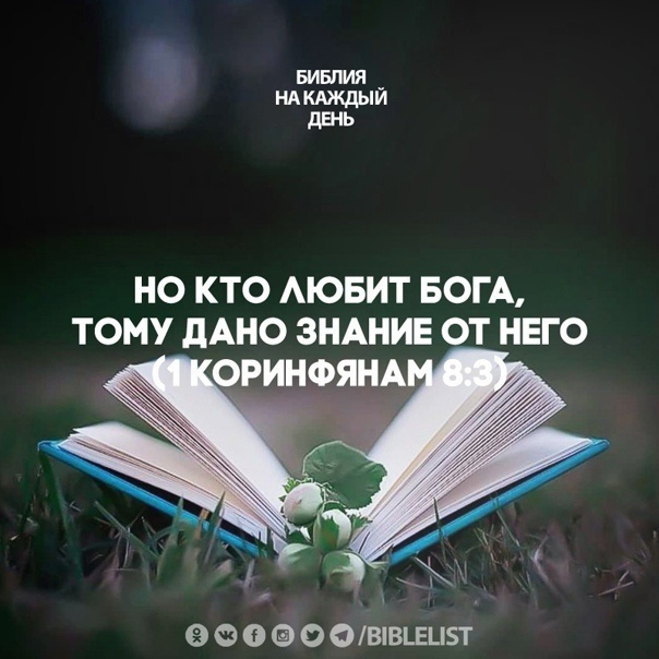 Из открытых источников Яндекса.