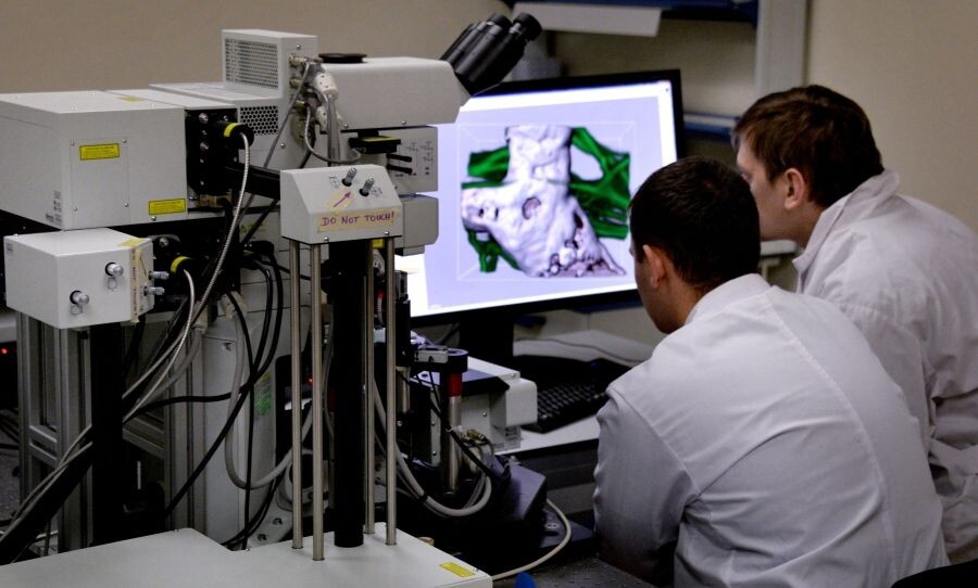     / Источник: © Виталий Аньков/РИА Новости