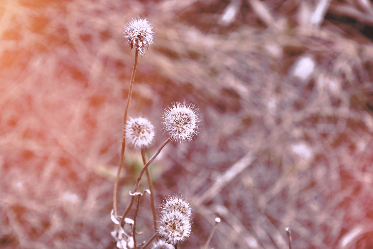 «Моё шоколадное утро» Копирование фотографий запрещено. Контент является интеллектуальной собственностью. Защищён авторским правом.