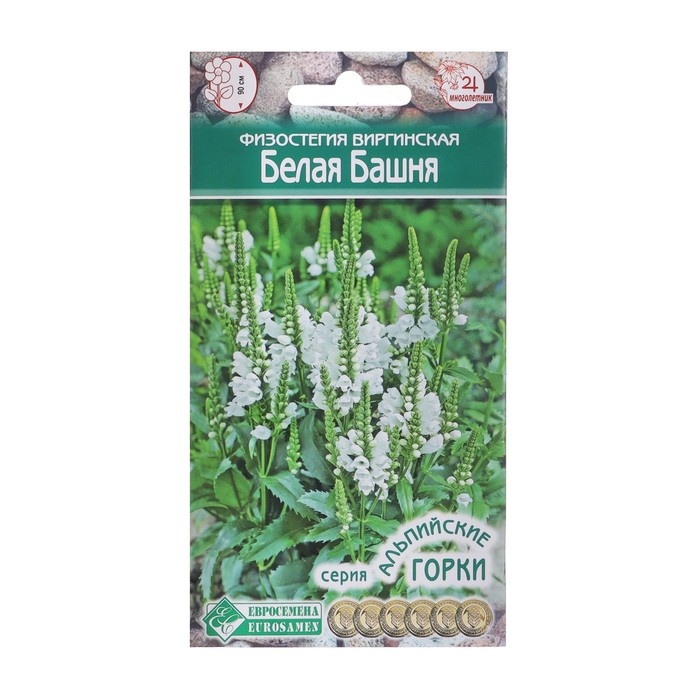 Физостегия - семена