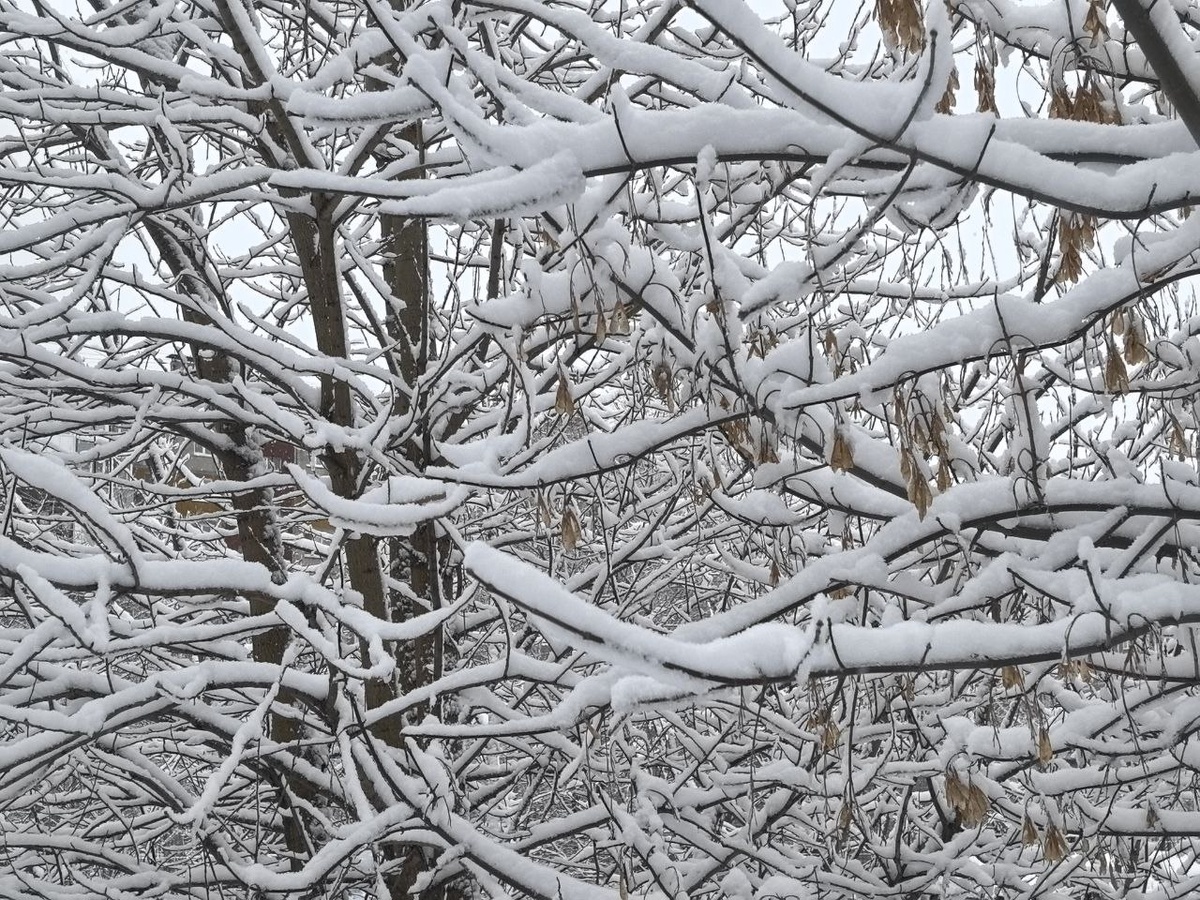 В ближайшие дни ожидается переменчивая погода.  Фото: Фото: ФедералПресс / Ксения Кобалия