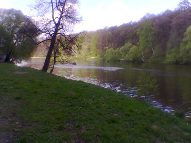 Царицыно 2005г.