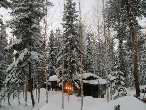 Фотографии Татьяны Немшановой. Таёжное зимовье. Тайга Севера ХМАО Югра.  Таёжная осень на Крайнем Севере Сибири. Тайга в снегу. Кедр, ель, берёза.