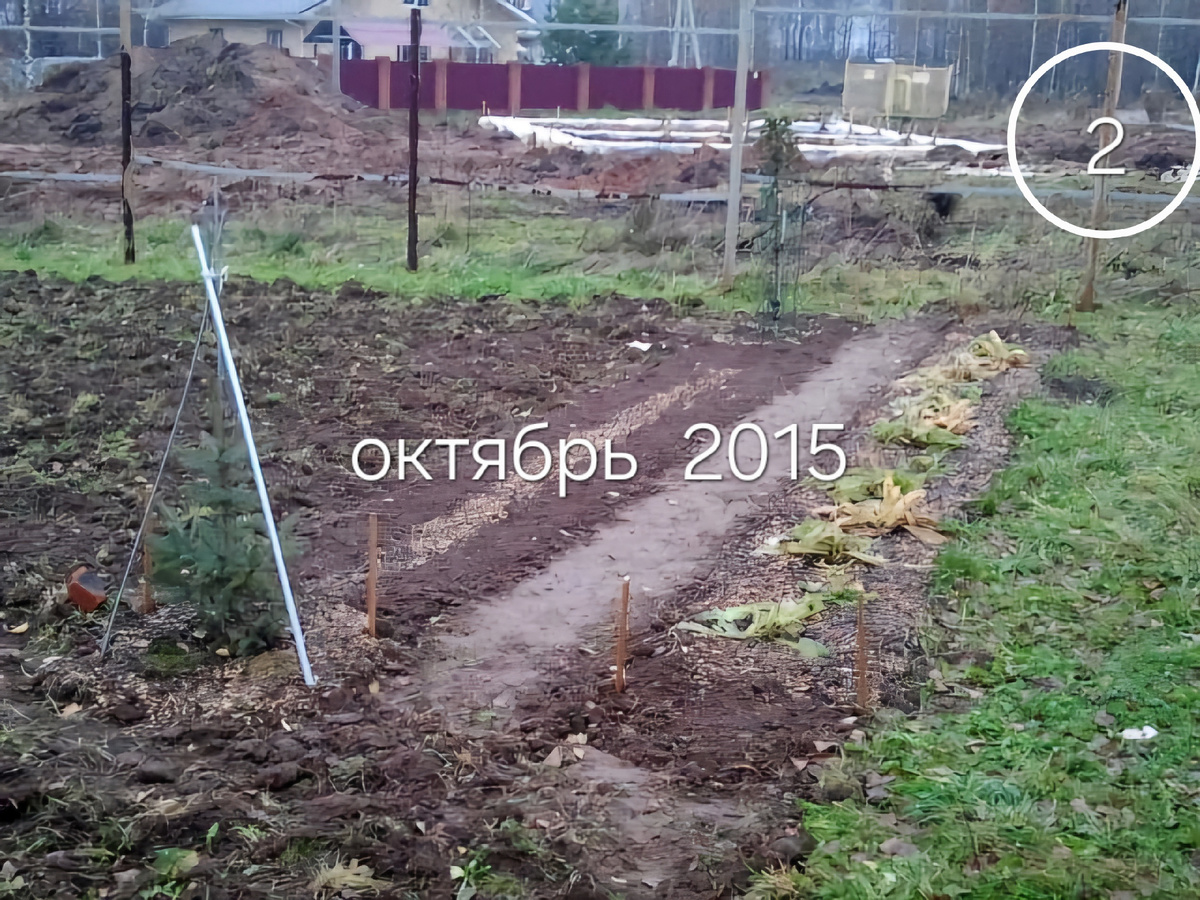 Фото 2. Вспаханный участок