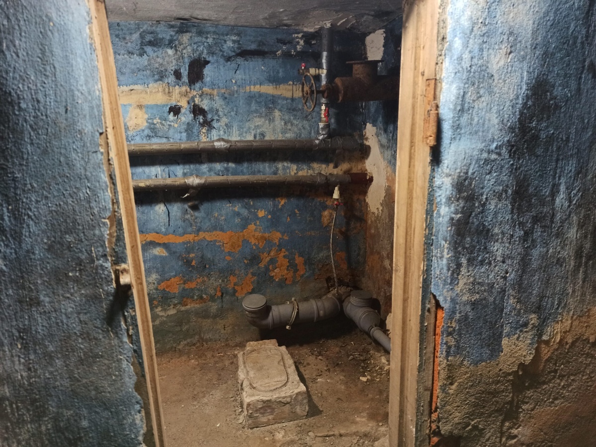 Фото: Neva.Today