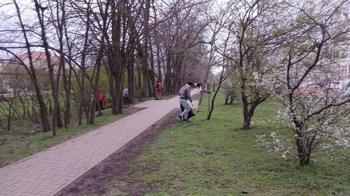 Фото: пресс-служба администрации Краснодара