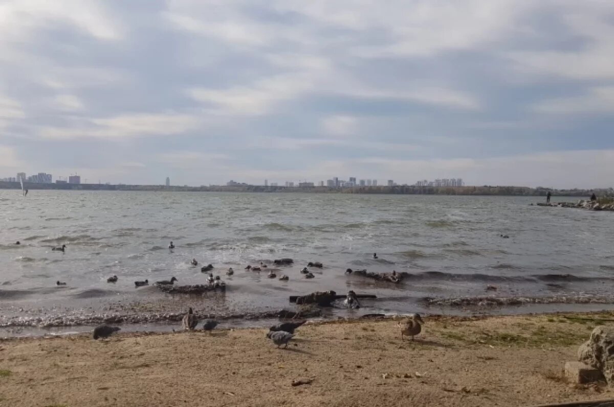    Озеро Светлое в Ноябрьске проверят на наличие вредных веществ