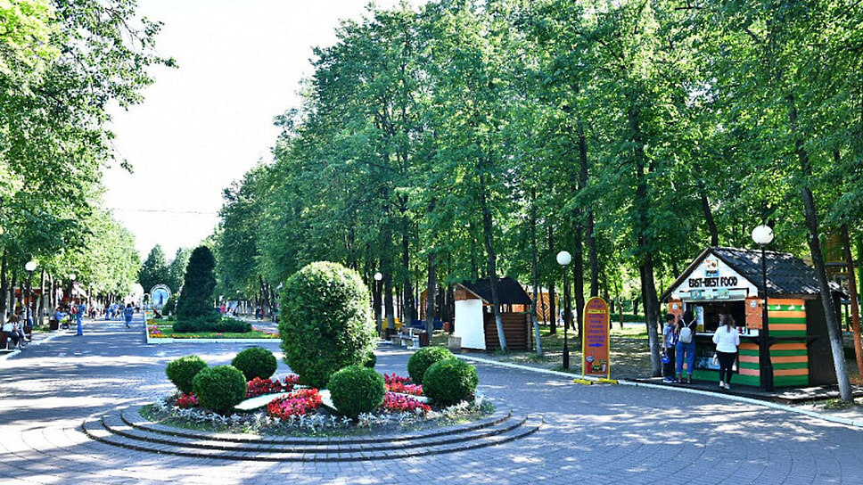 Фото: Пресс-служба мэрии Ярославля