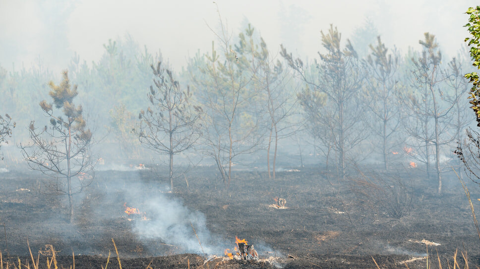 Фото: Олег Харсеев / Коммерсантъ