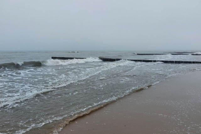   Фото из архива Калининград.Ru