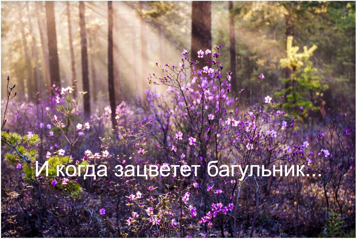 Изображение взято из открытого источника Яндекс.Картинки.