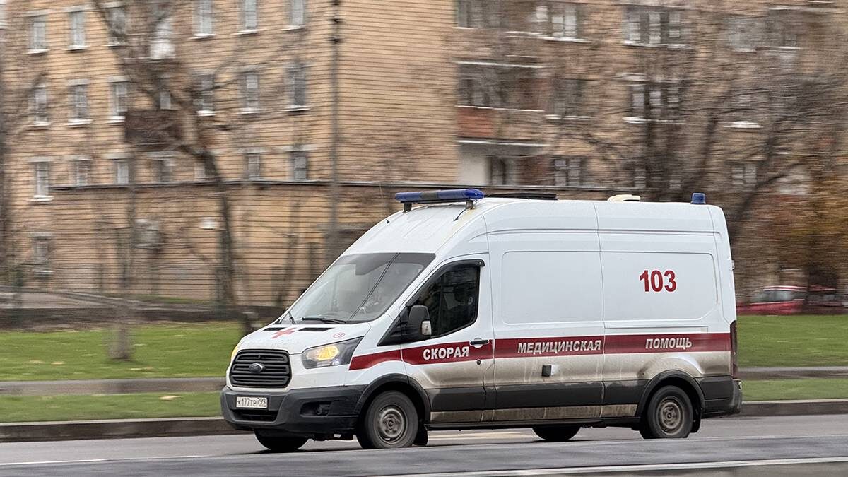    Фото: Андрей Прошин / Вечерняя Москва