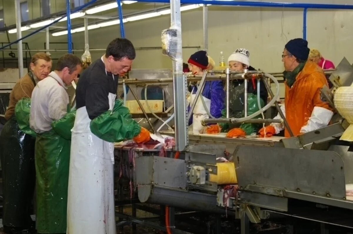    Камчатка предложила перенести заключение договоров с рыбопользователями