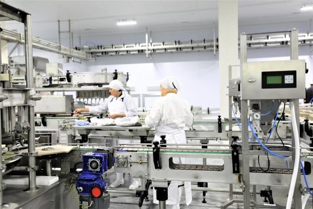    Камчатка Фото: АО «Корпорация развития Камчатки»