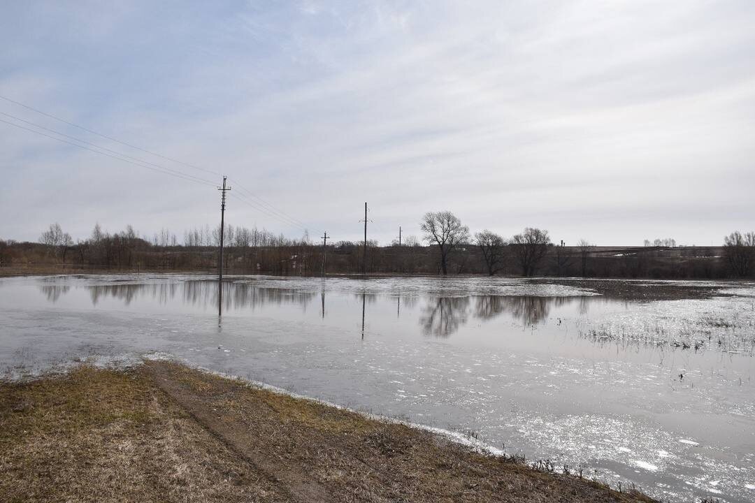 Фото: министерство транспорта Алтайского края