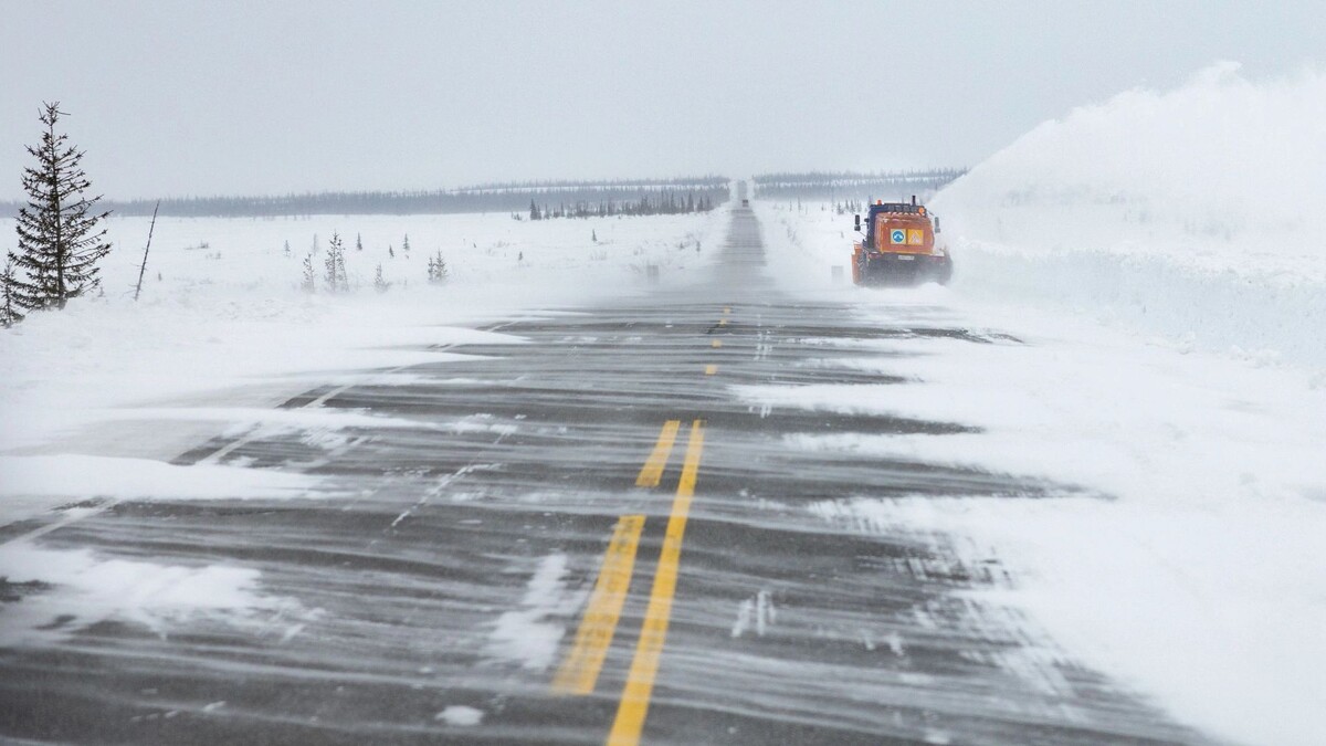    Фото: Федор Воронов/«Ямал-Медиа»