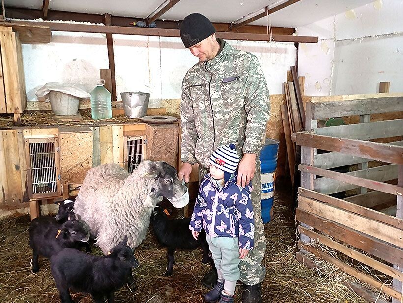 Дочь Александра очень любит общаться с маленькими ягнятками.