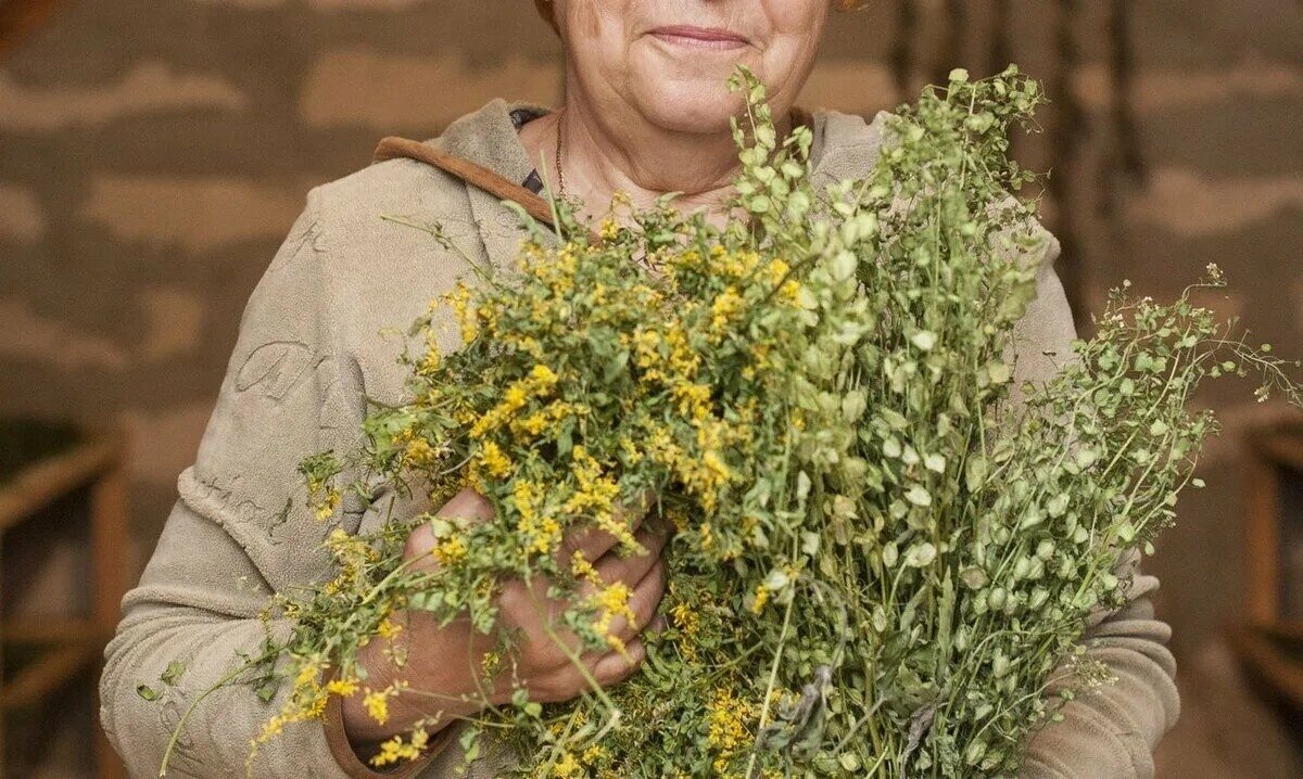 Фото из Яндекса