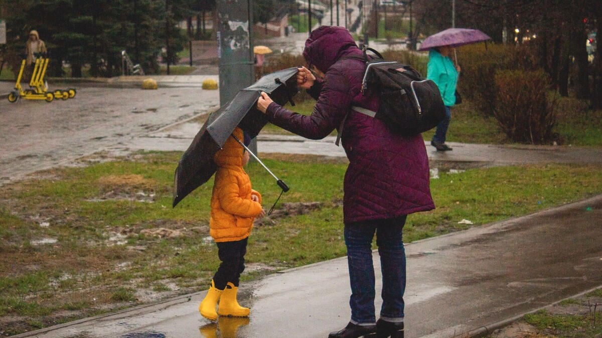     Источник: 1MI