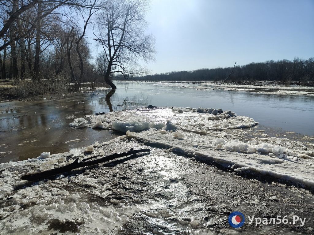    Уровень Ори в Истемисе вырос на 141 см за сутки. Актуальные данные по другим рекам Оренбургской области