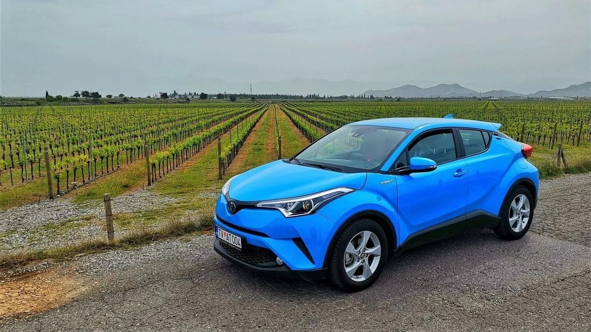 Фото заимствовано - https://dzen.ru/a/ZDbt5AVoDBX7U72n