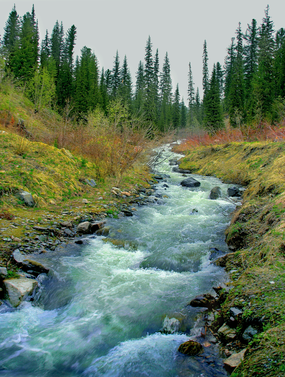 Фотография, стихотворение Василия Глуцкого