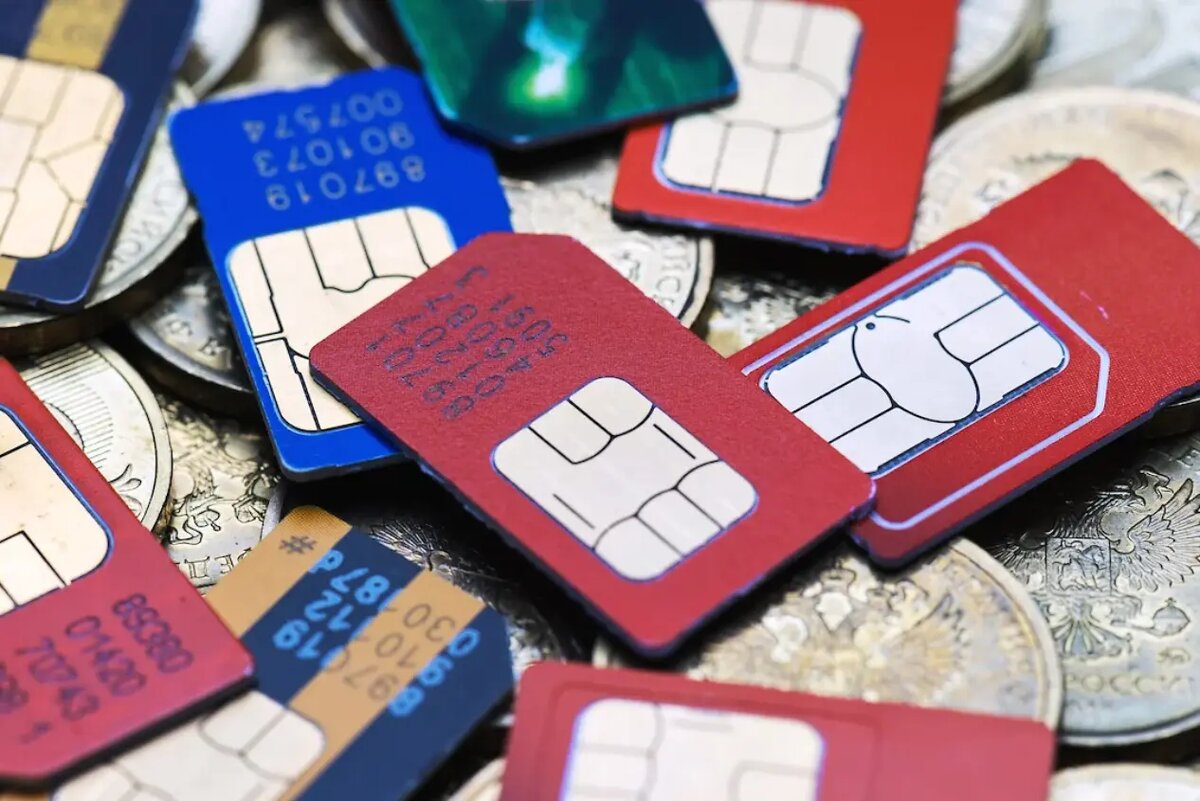 Фото: Олег Харсеев / Коммерсантъ