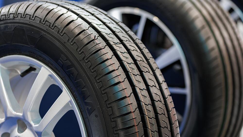    Фото: Sergey Elagin/globallookpress.com