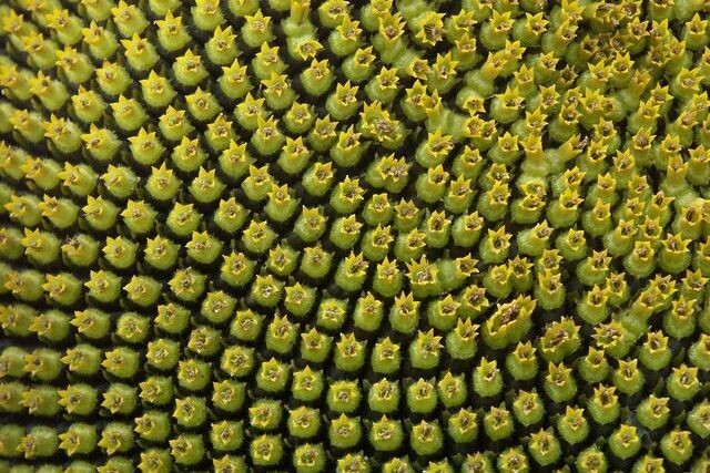 Фото: freeimages.com 