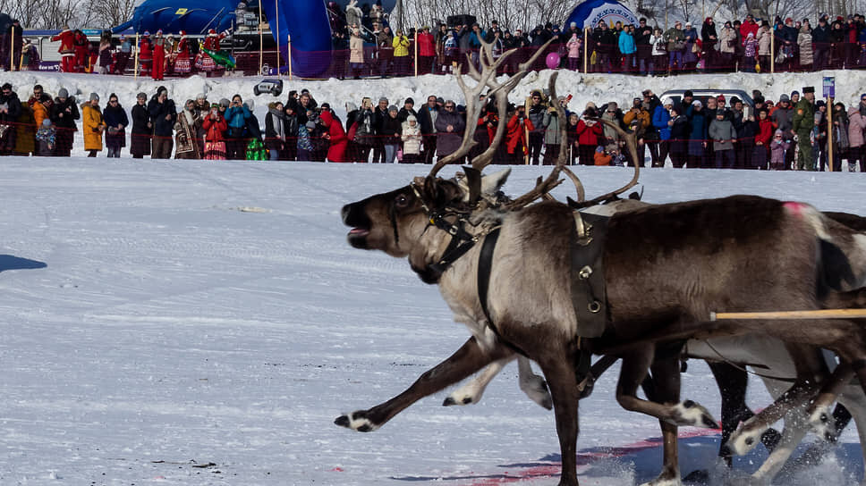 Фото: Евгения Яблонская / Коммерсантъ