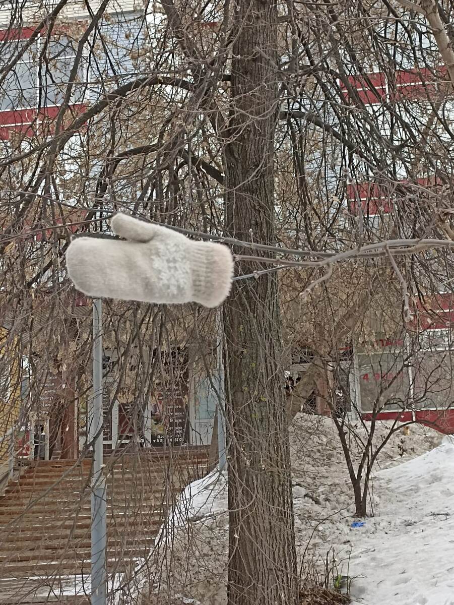 Весна пришла. Фото автора