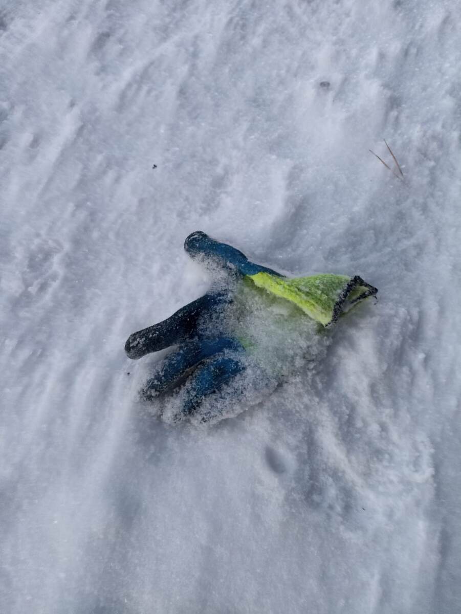 Потерянная перчатка в лесу. Фото автора