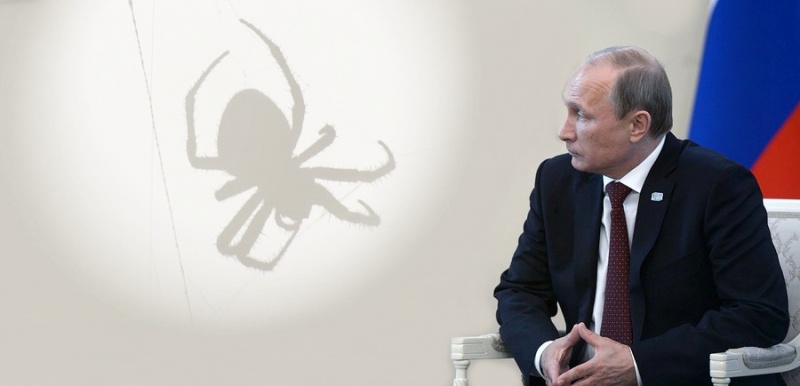    Иллюстрация: REX