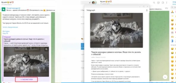 Так выглядит статья, написанная в Телеграфе и открытая в Телеграме 
