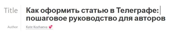 Так выглядят заполненные строки «Заголовок» и «Имя автора» в Телеграфе 
