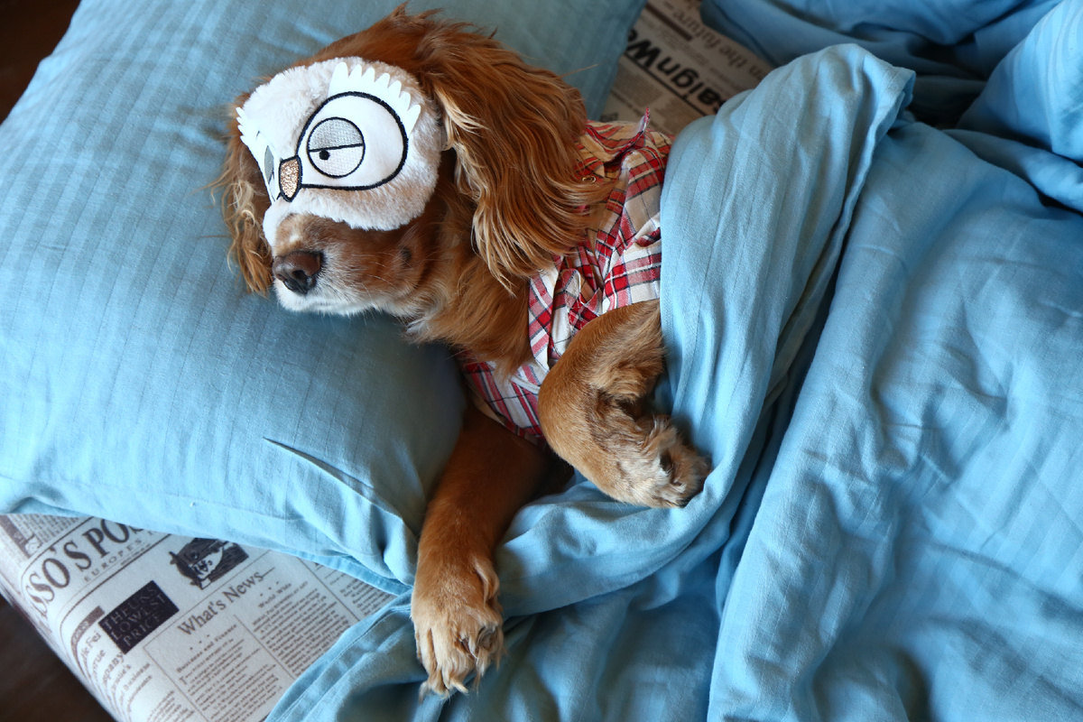 Фото: Оксана Зуйко