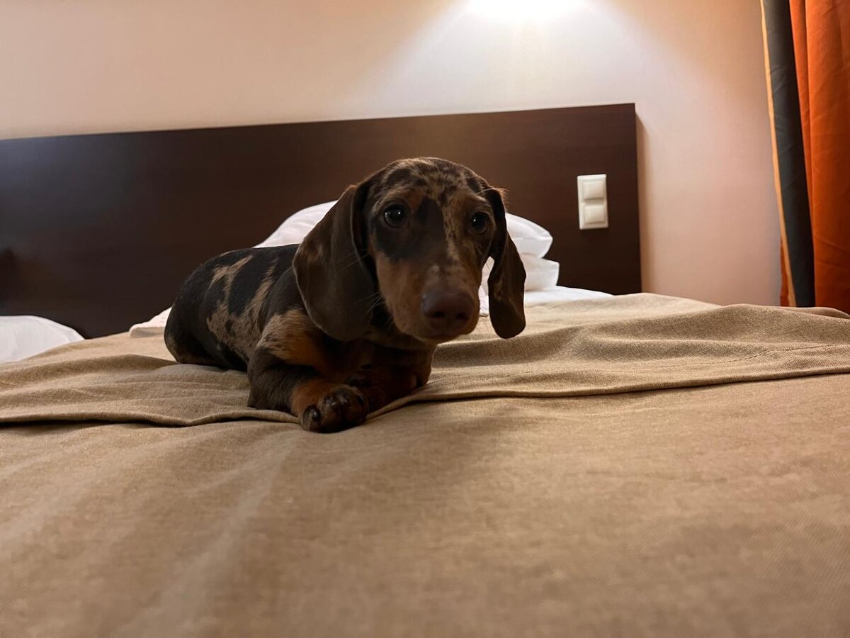 Фото: Ольга Ведерникова