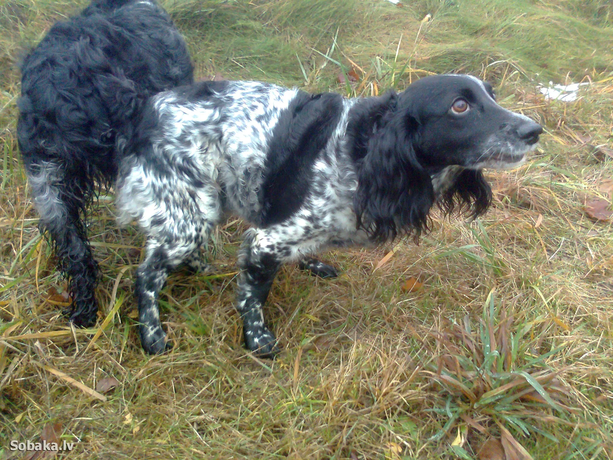 Согласно инструкции! Фото с просторов интернета. 