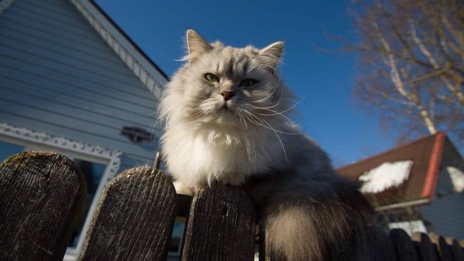 Фото: Александр Дрозденко/telegram