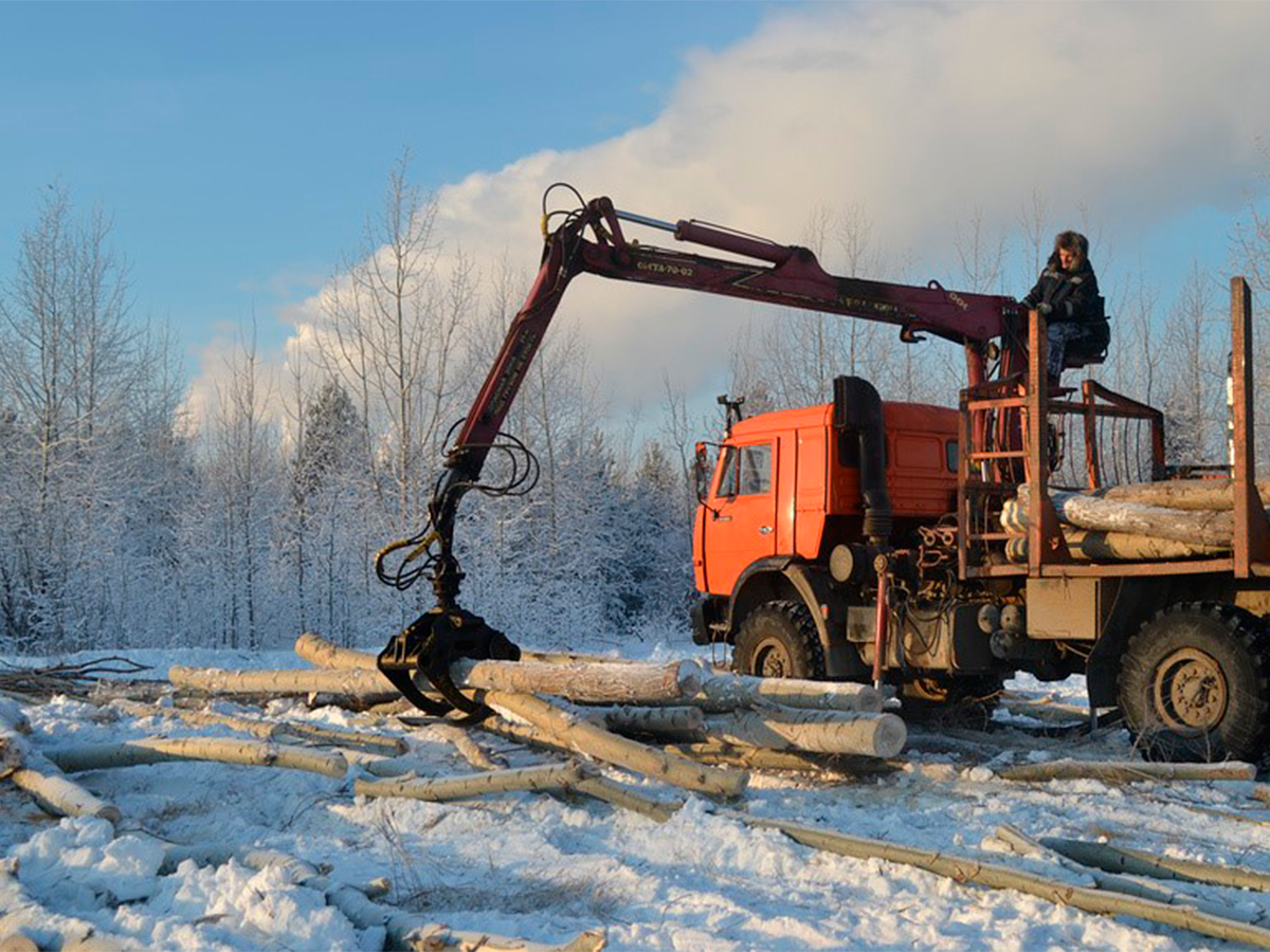 Источник изображения "Фотобанк Лори"