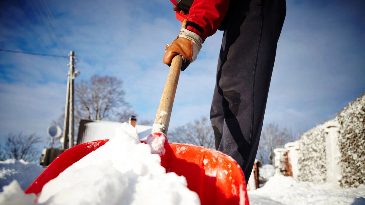    Фото: Anna_Kuzmina/Shutterstock/Fotodom