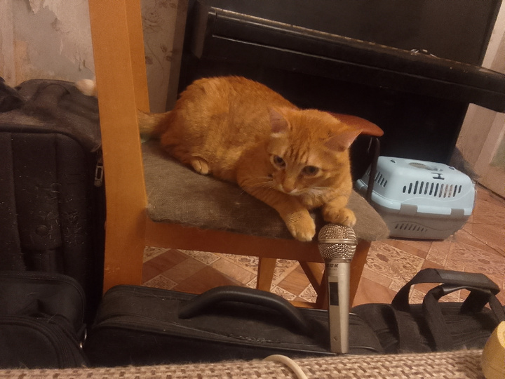 Аббат тоже подпевает