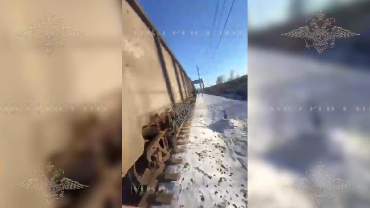    Фото: МВД России