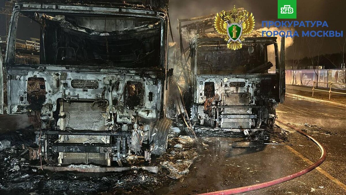    Фото: moscowproc / t.me