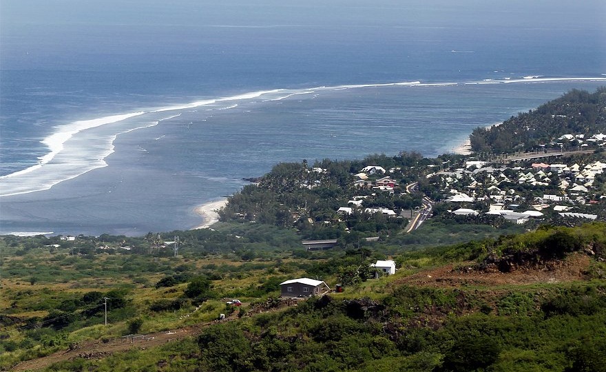 Зафиксирована вспышка забытой смертельной лихорадки. Больные испытывают жуткие боли и не могут ходить. Кто разносит заразу?