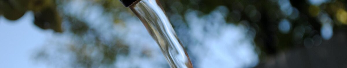    Фото: Сергей Егоров