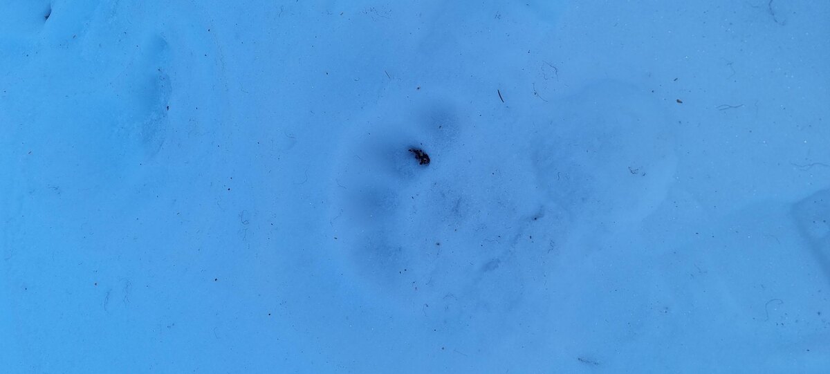    фото госинспектора Вишерского участка природного парка «Пермский» А.В. Малкова