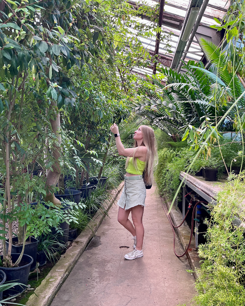 Кажется, тут должно быть моё фото. Увлечение растениями, наверное, тоже отчасти пришло как антистресс🌿